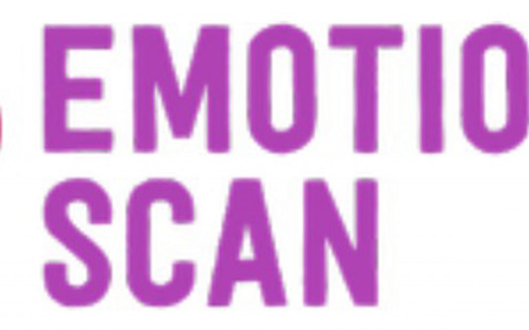 EmotionalScan.com – Interview Types